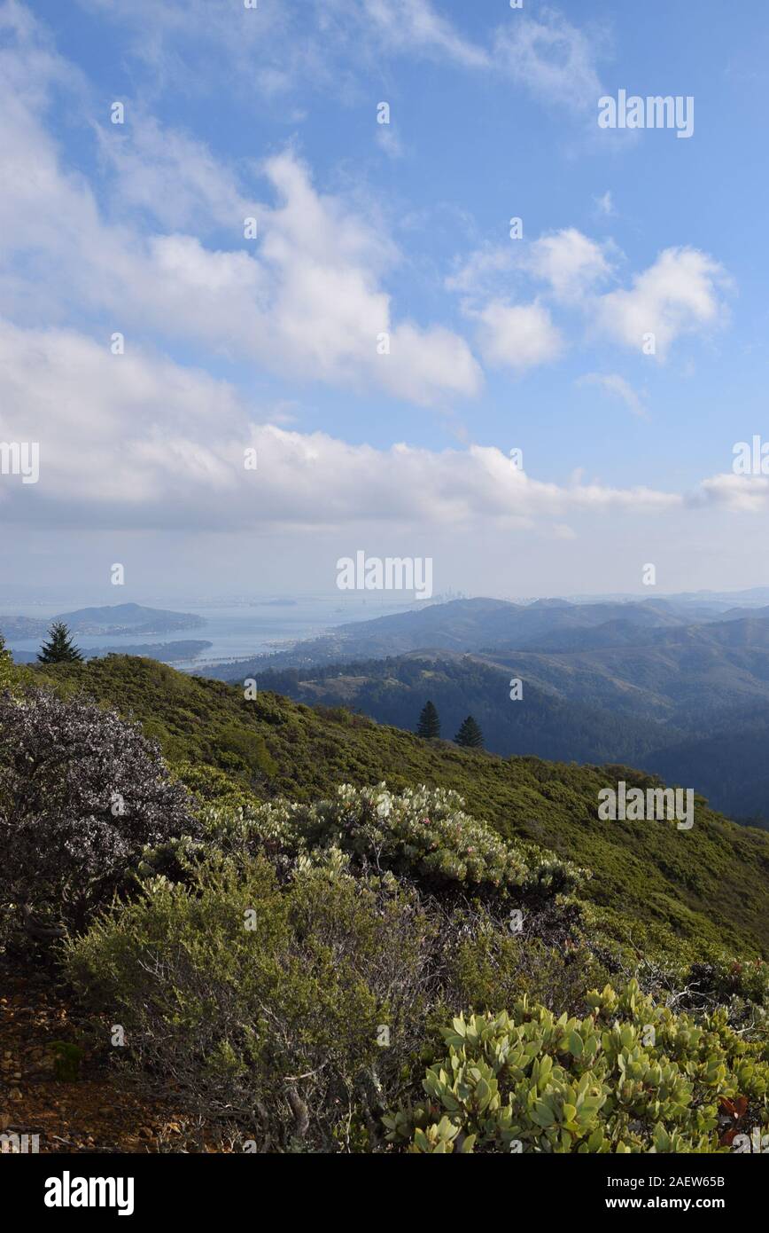 Distant views of San Francisco emerge from the fog from the top of Mt. Tamalpais, the tallest point in Marin County, California, USA. Stock Photo