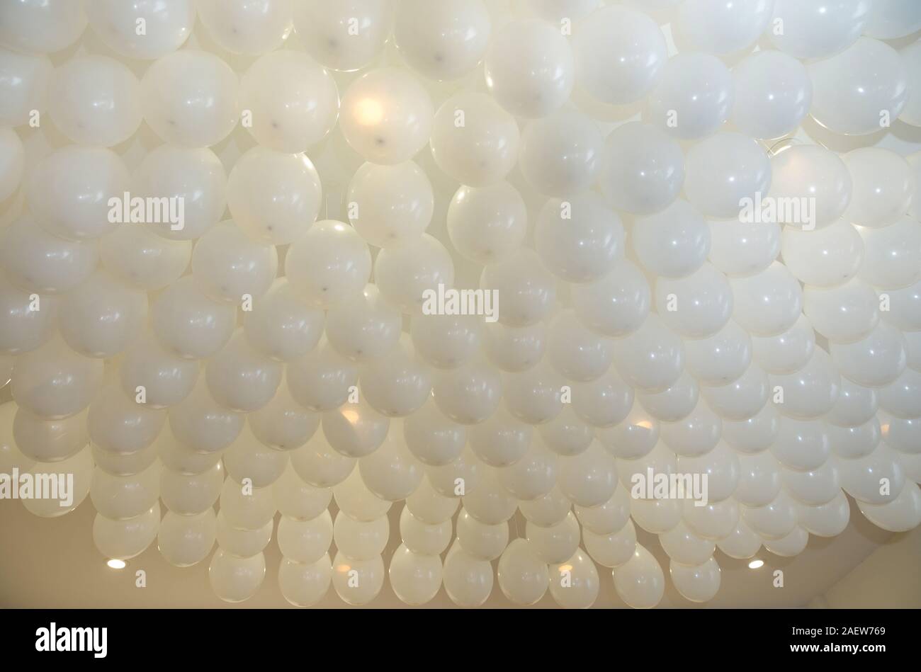 Wedding Or Children Birthday Party Decoration Interior