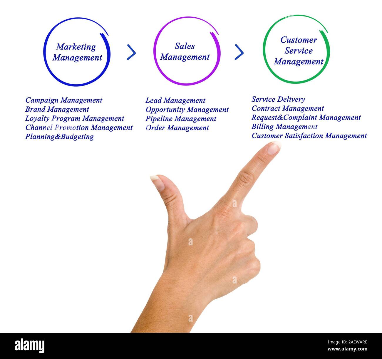 Diagram of Business Management Stock Photo - Alamy