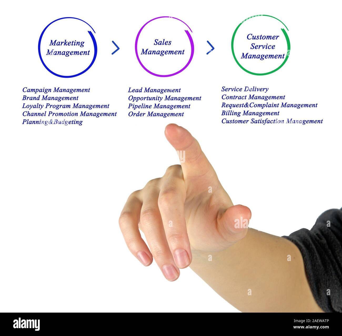 Diagram of Business Management Stock Photo - Alamy