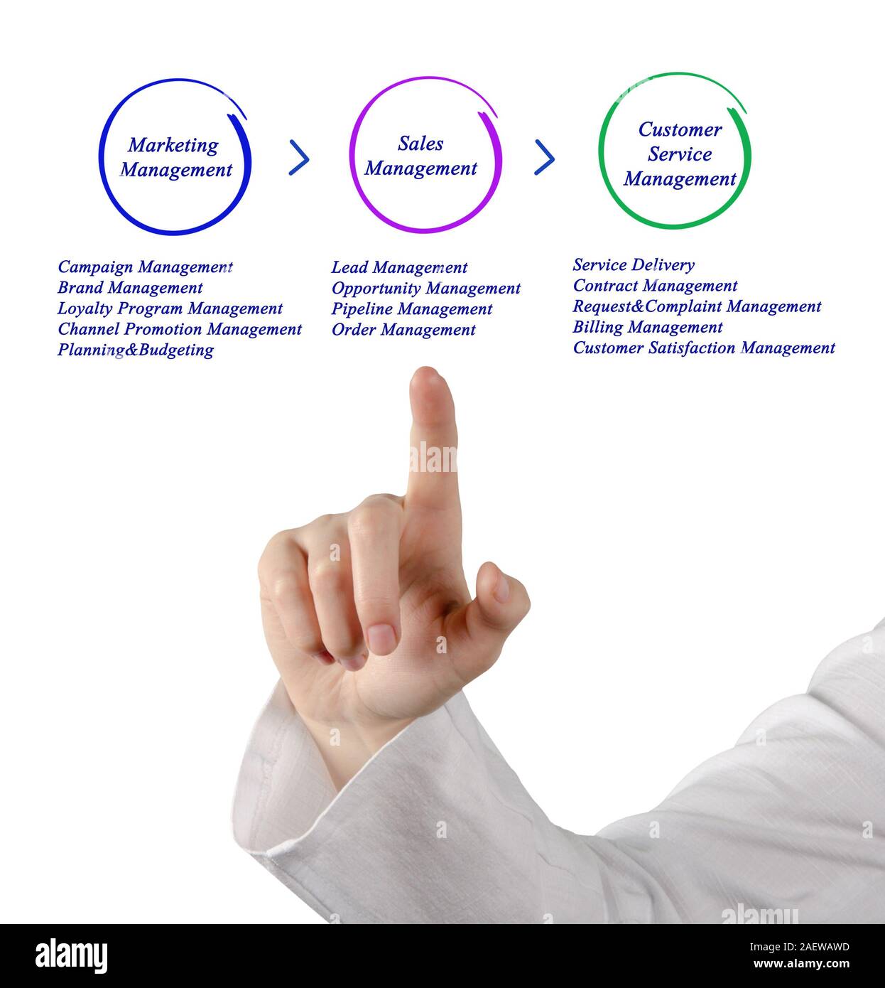 Diagram of Business Management Stock Photo - Alamy