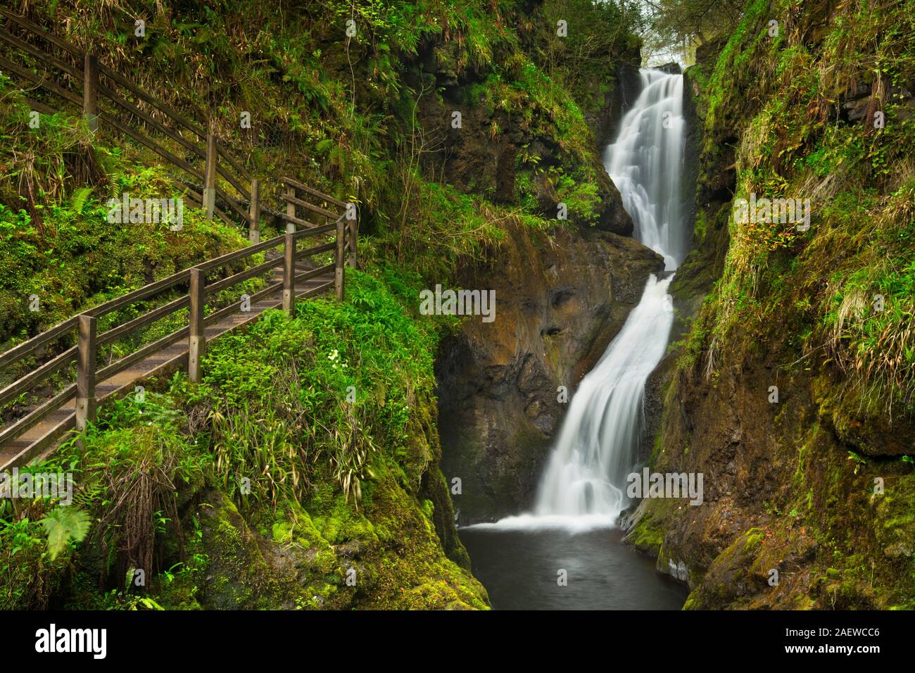 The Ess-Na-Laragh waterfall in Glenariff Forest Park in Northern Ireland. Stock Photo