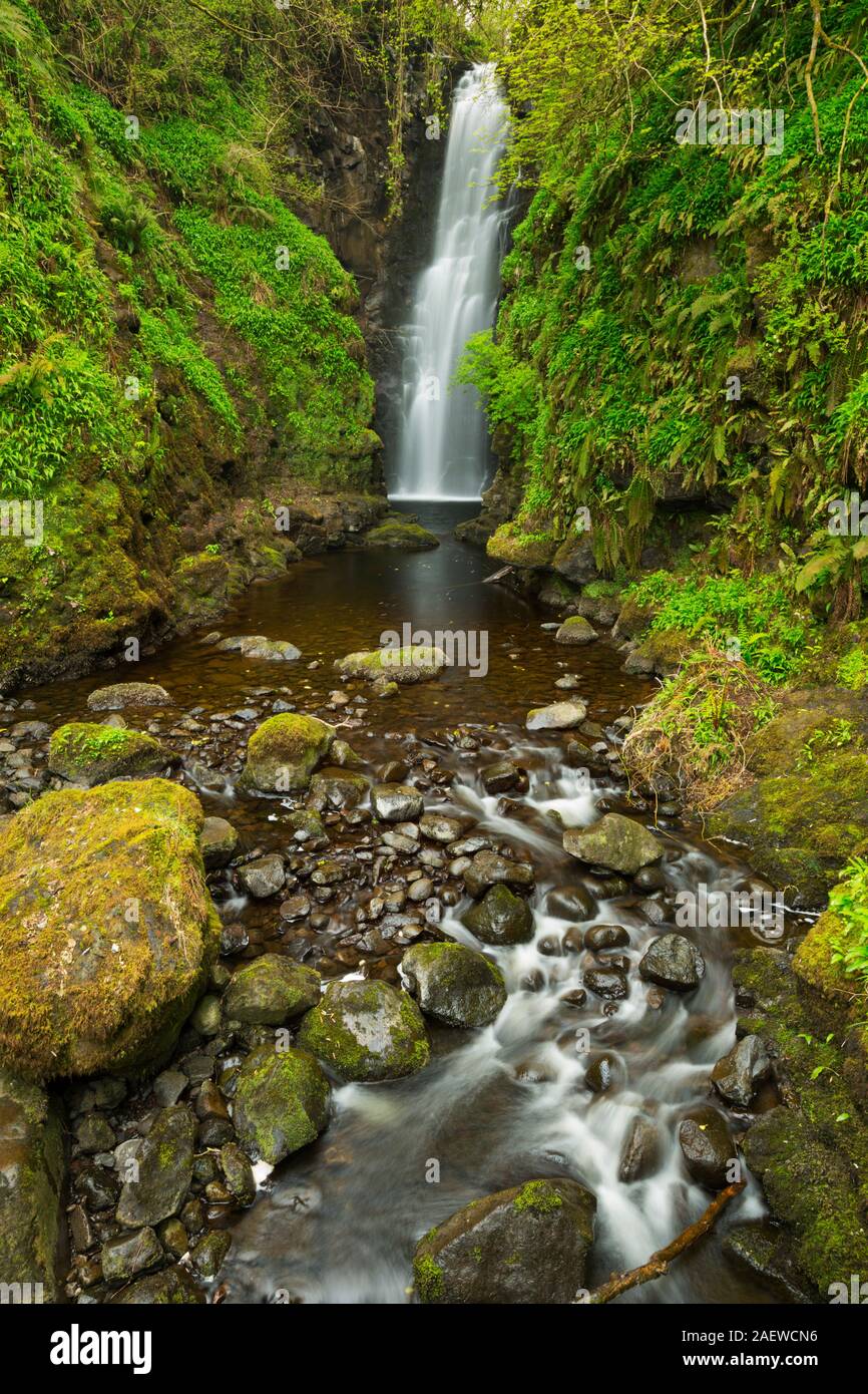 The Cranny Falls near Carnlough in Northern Ireland. Stock Photo