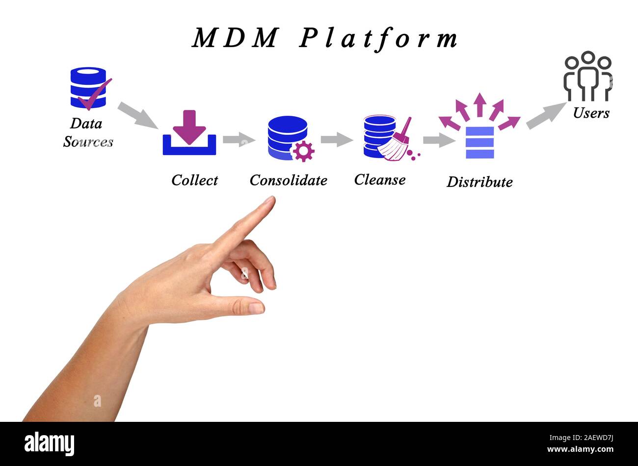Diagram of Master Data Management Stock Photo - Alamy