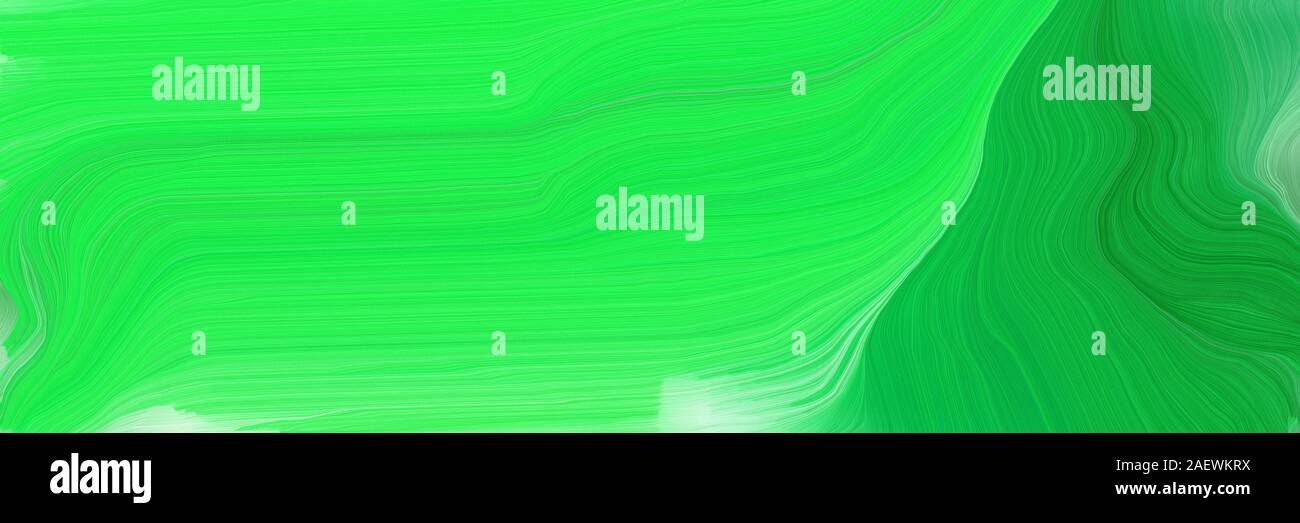 Colorful Horizontal Banner Curvy Background Illustration With