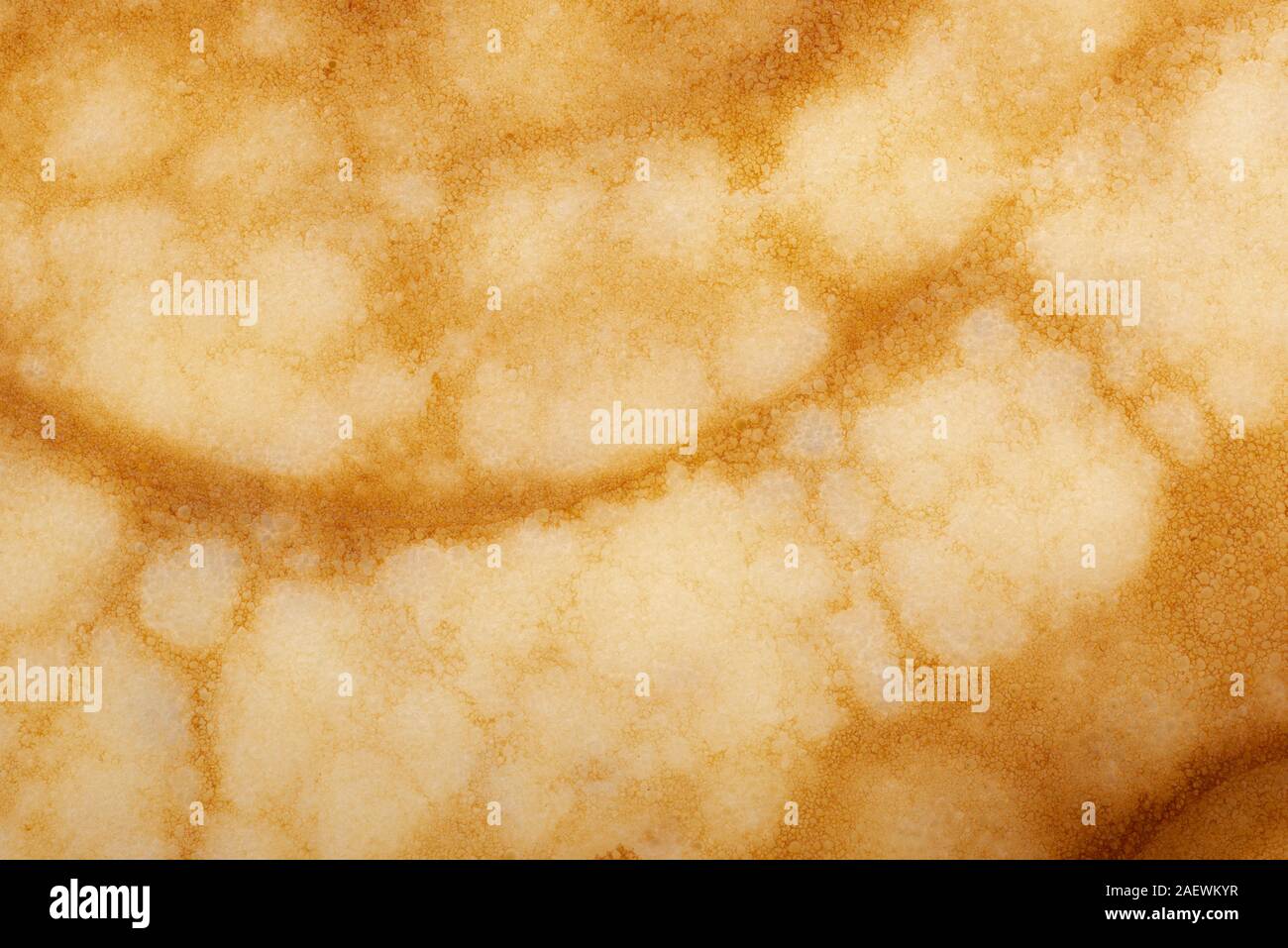 Structure of a baked golden pancake background Stock Photo Alamy