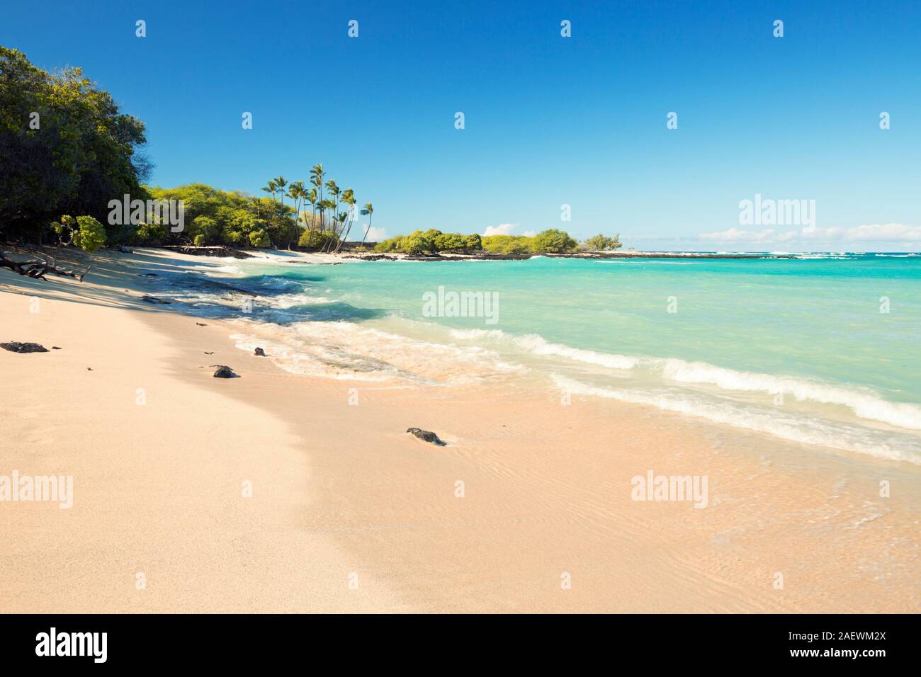 Maiahula Beach on Big Island Hawaii, USA, a beautiful white sand beach with turquoise water and palm trees. Stock Photo