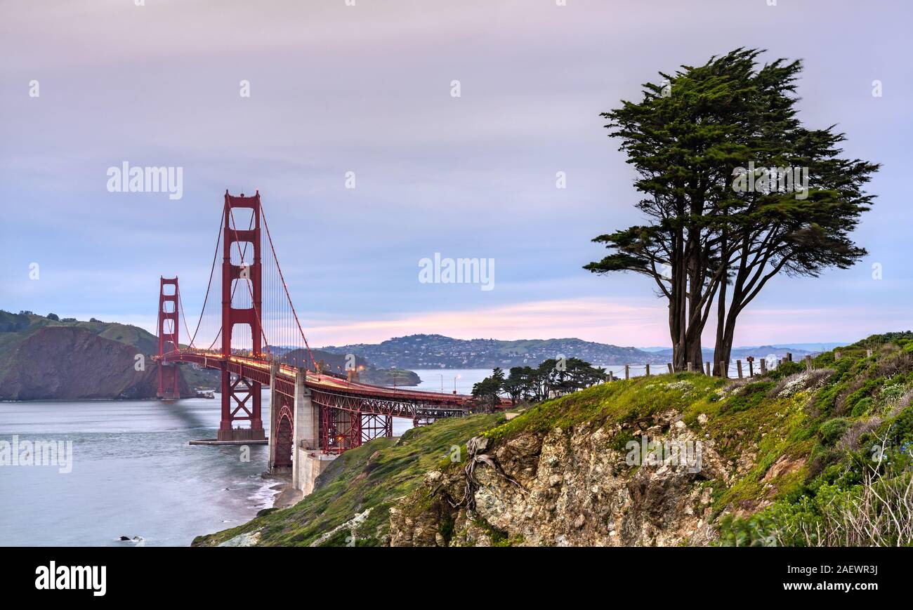 Bay tree by the gate hi-res stock photography and images - Alamy