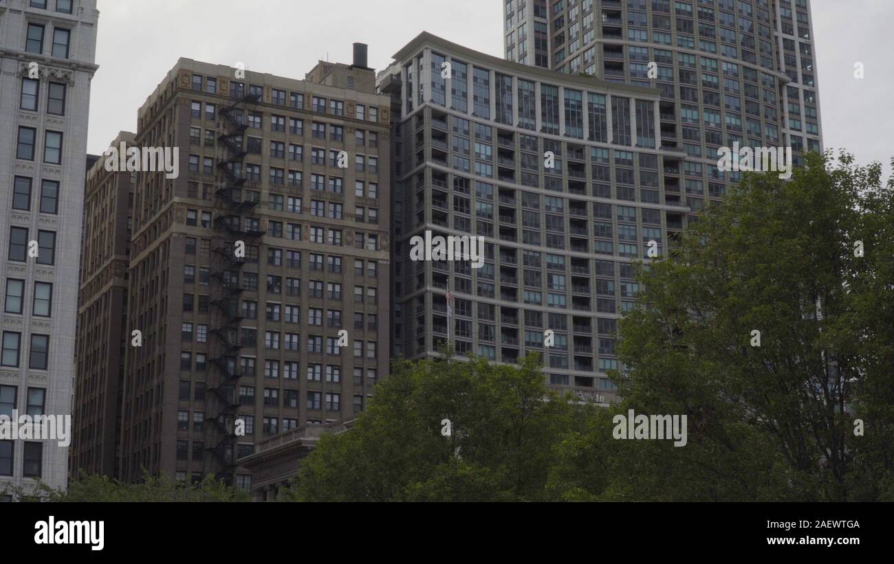 Picture of Urban exotic kittens - Facebook