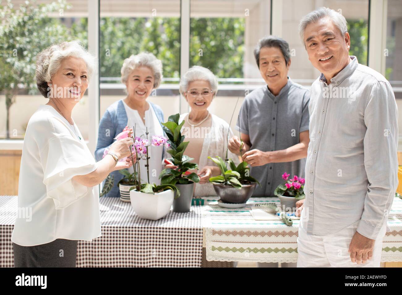 Senior friends planting flowers in nursing home Stock Photo Alamy