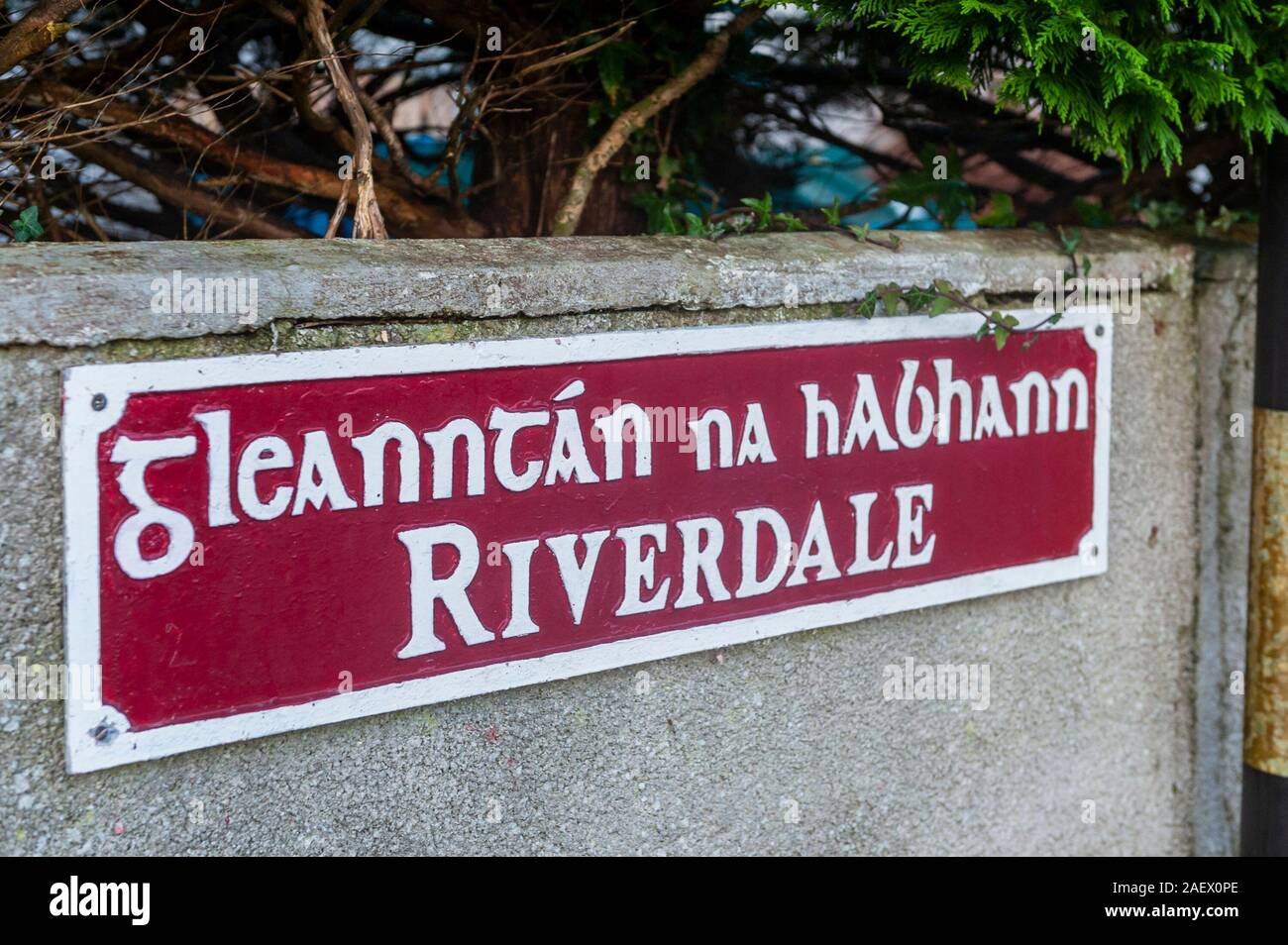 Skibbereen, West Cork, Ireland. 11th Dec, 2019. A 39 year old man was stabbed at 8.15pm last night in Riverdale Estate, Skibbereen. A group of youths allegedly comitted the crime. The man was taken to Cork Uiversity Hospital with non-life threatening injuries. Credit: AG News/Alamy Live News. Stock Photo