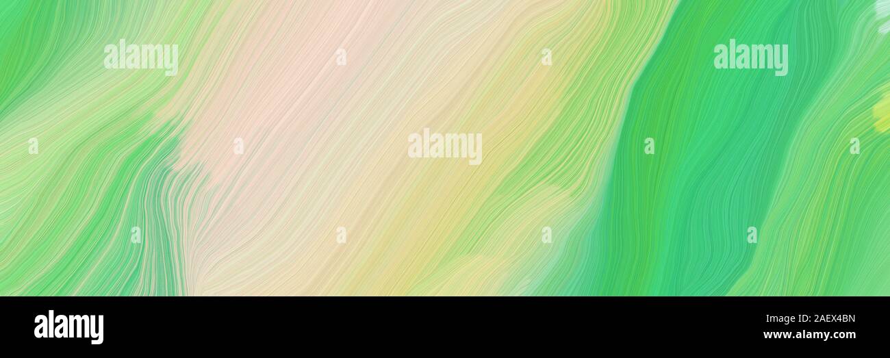 dynamic horizontal banner. modern soft swirl waves background