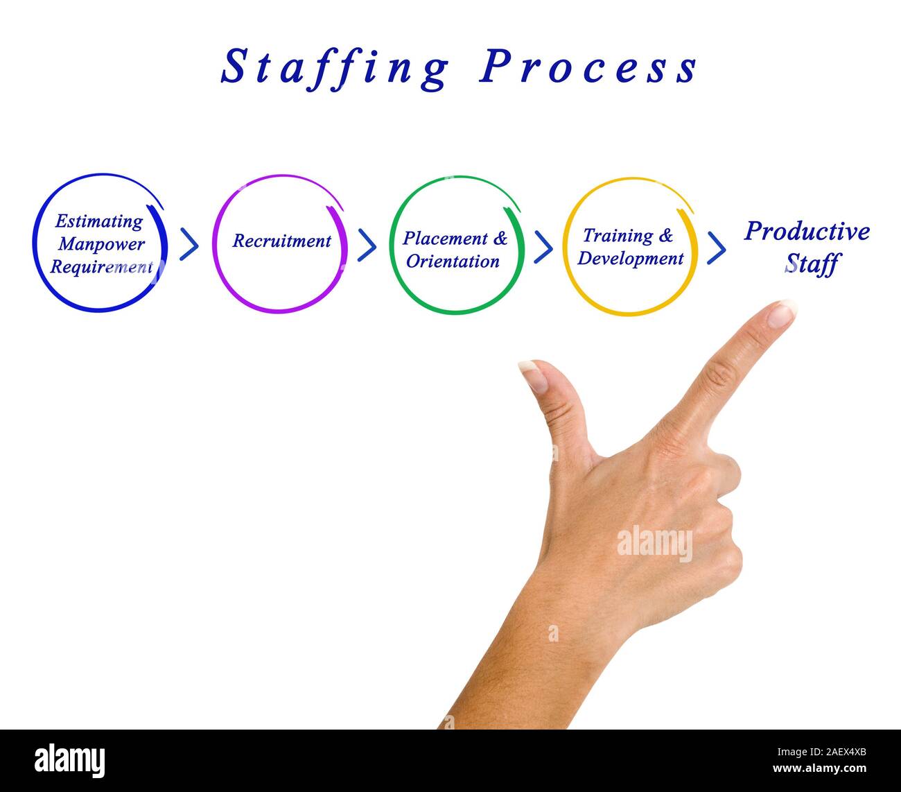 Diagram of staffing process Stock Photo