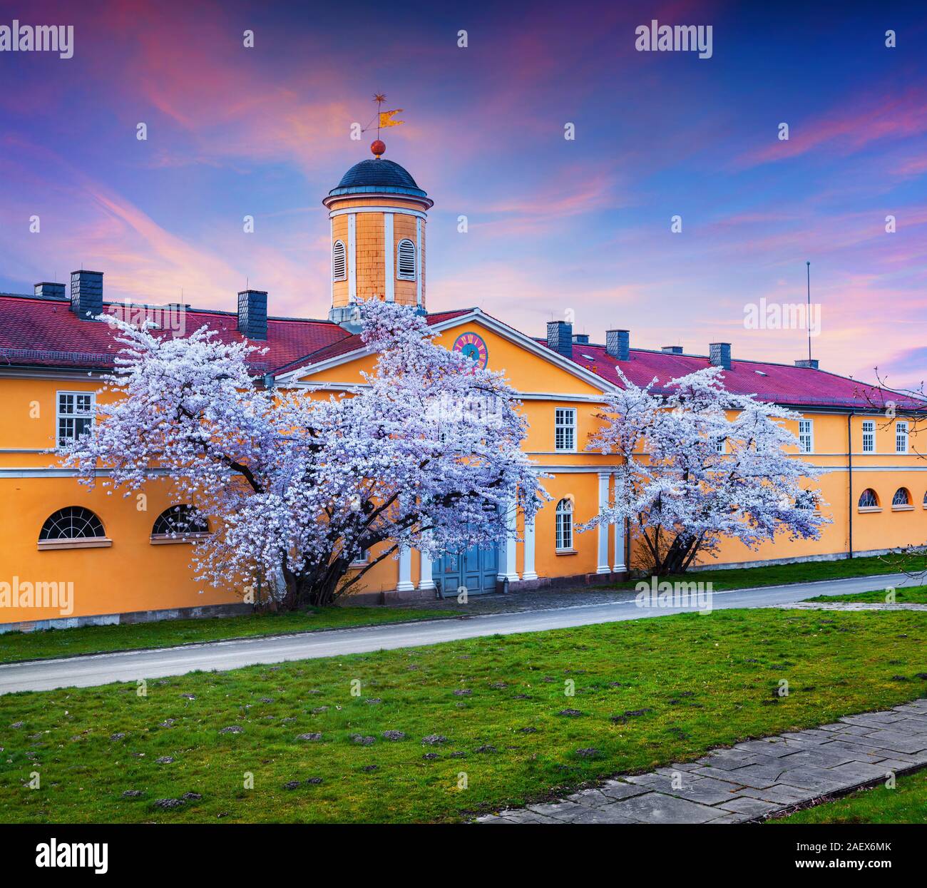 Spring evening scene in Wilhelmshohe Park. Blossom cherry trees in the velcome Germany town Kassel, German, Europe. Stock Photo