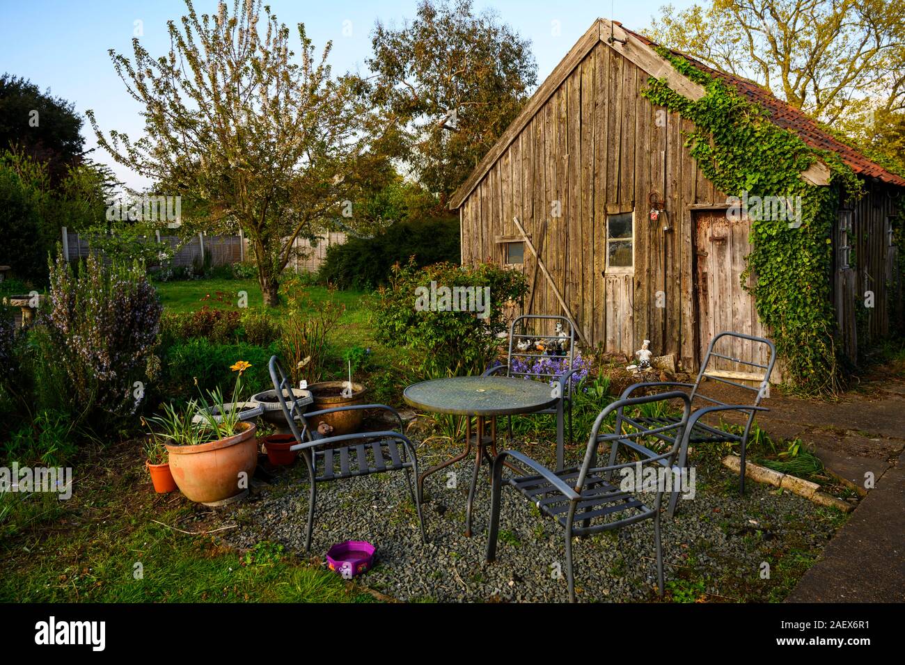 Old wooden garden shed Stock Photo - Alamy