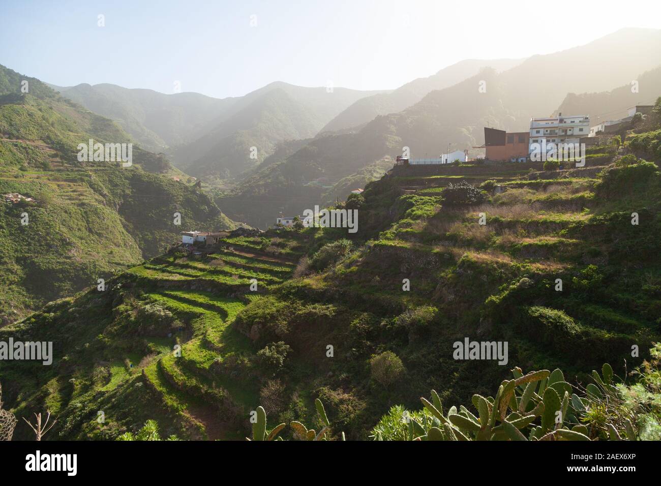 Terraced fields near the village of Las Carboneras in the Anaga mountains, Tenerife Stock Photo