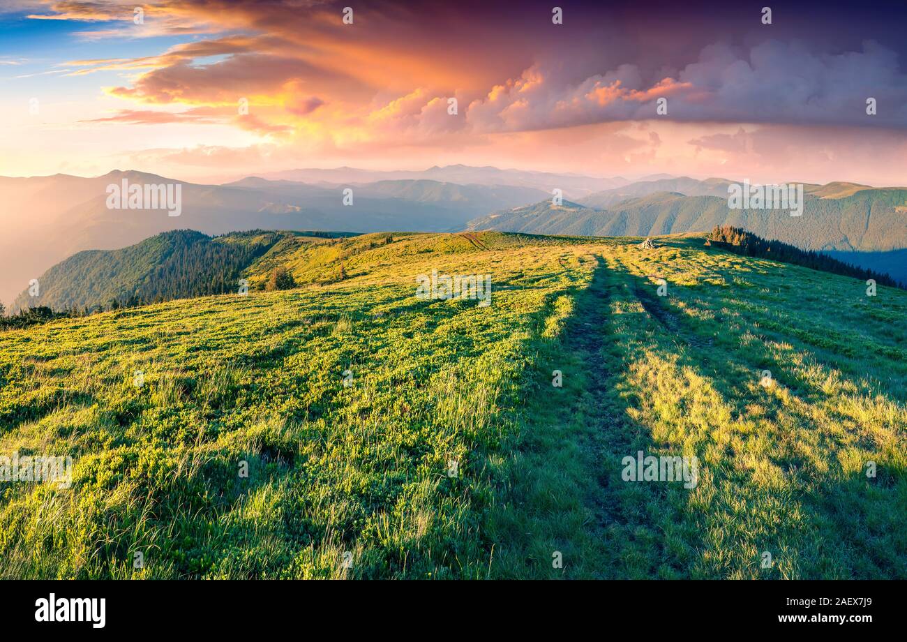 Colorful summer sunrise in the Carpathian mountains. First sunlight glowing mountainsides on Svidovets ridge, Ukraine, Europe. Stock Photo