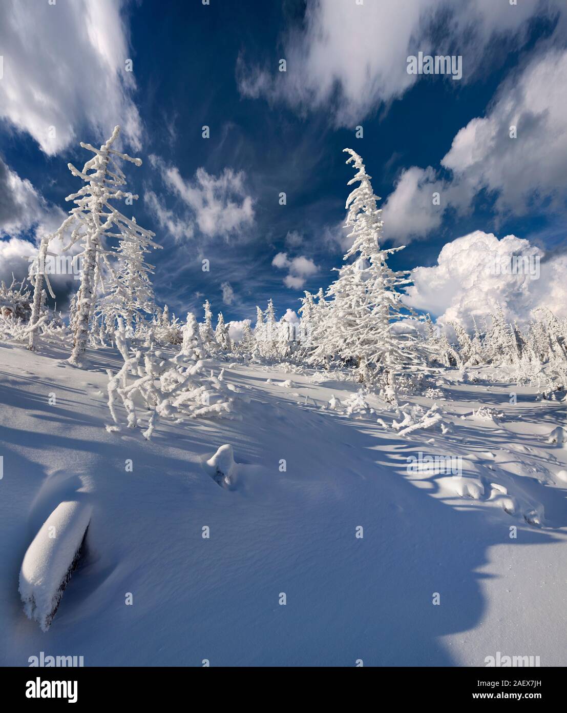 Under deep blue sky hires stock photography and images Alamy