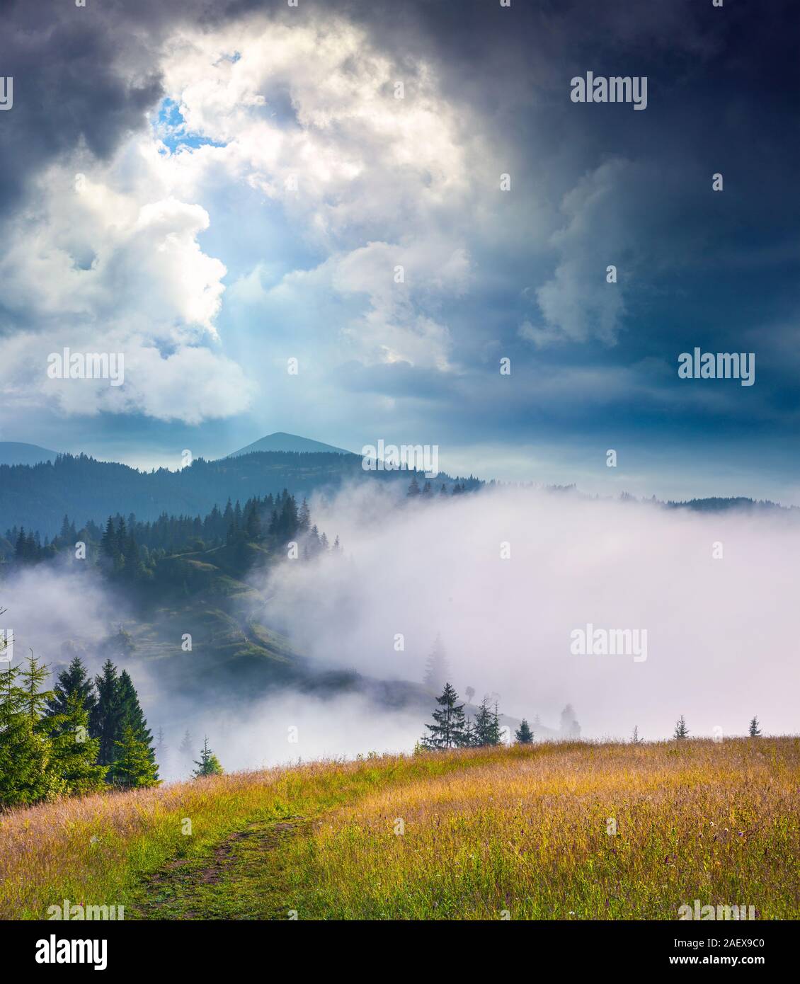 Dramatic summer scene in the foggy mountains. Sun drop a light on the top of mountain Homyak, Carpathians, Ukraine, Europe. Stock Photo