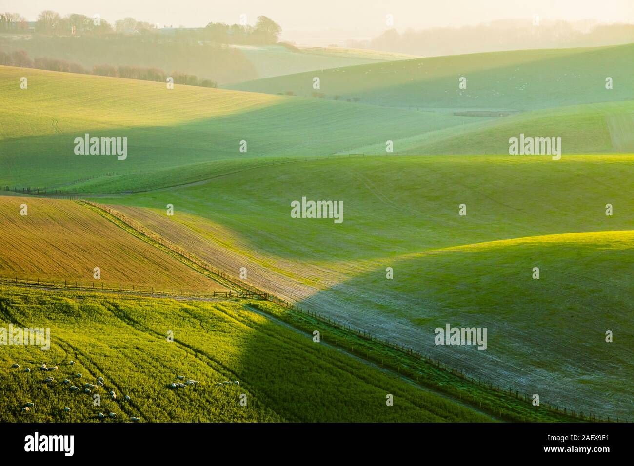 Winter sunrise in South Downs National Park, West Sussex, England. Stock Photo