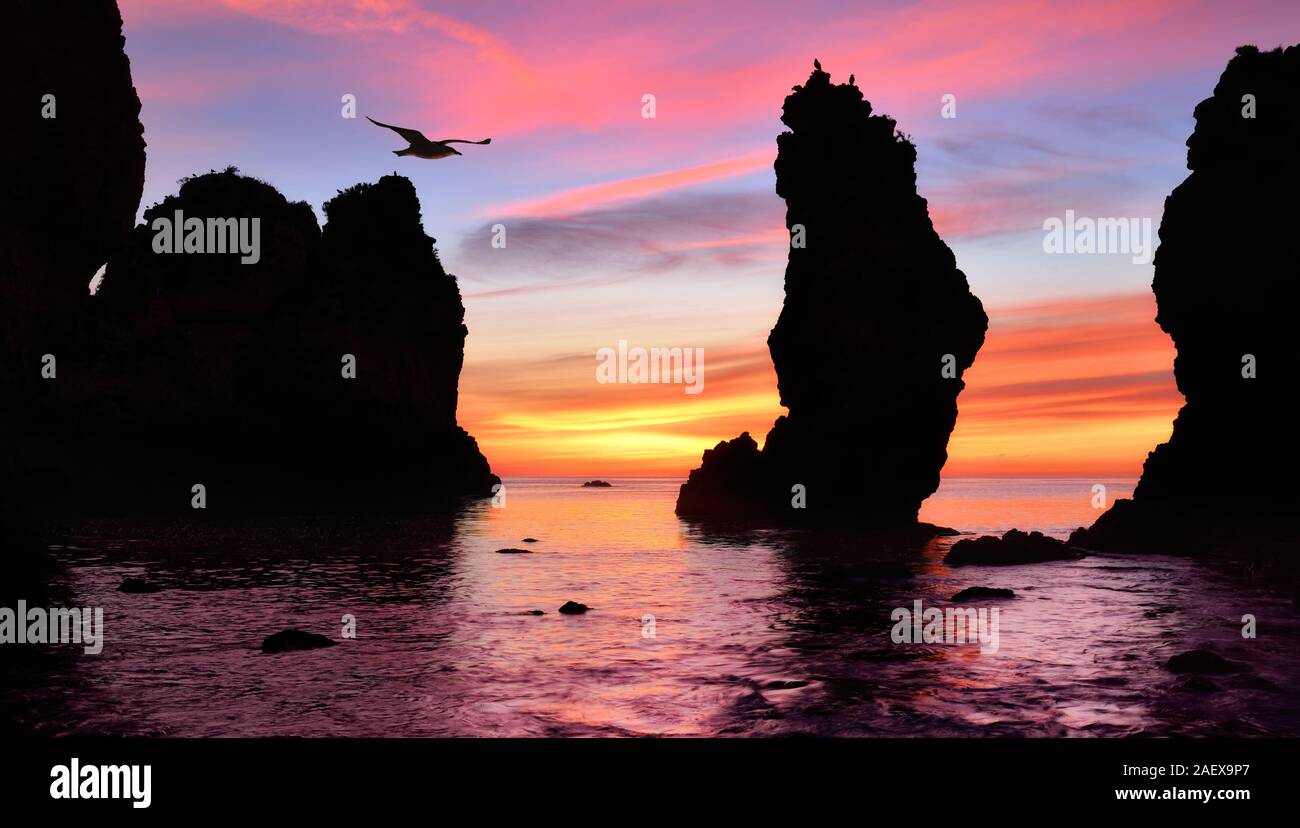 Gorgeous colorful sunrise at the ocean, with silhouettes of tall rocks in the water and a flying seagull Stock Photo