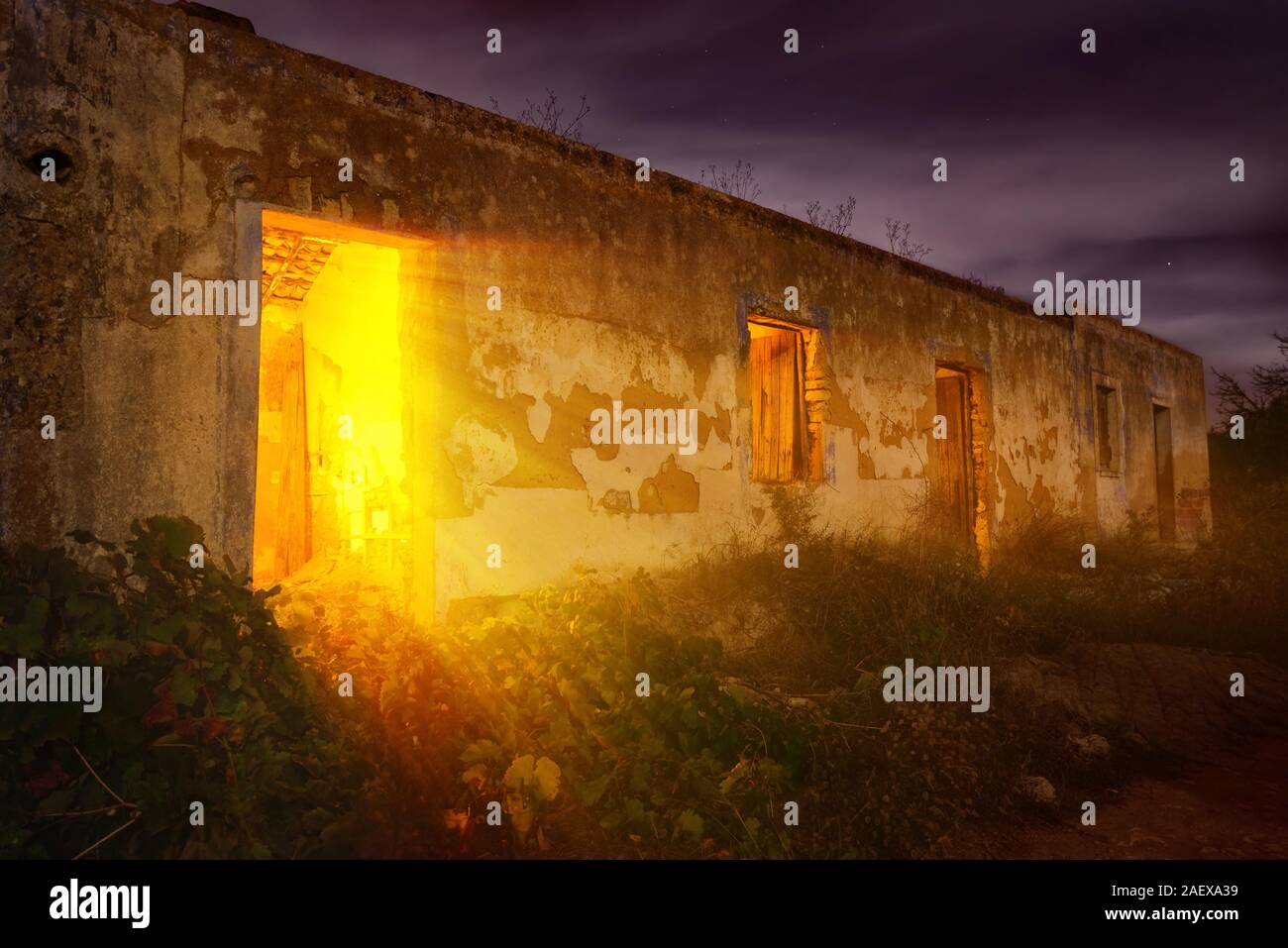 Mindfulness Through the Lens of Photography, image size:1300x957