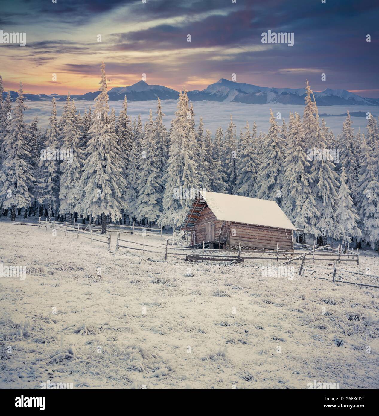 Beautiful winter sunrise in the foggy mountains. First frost in December. Stock Photo