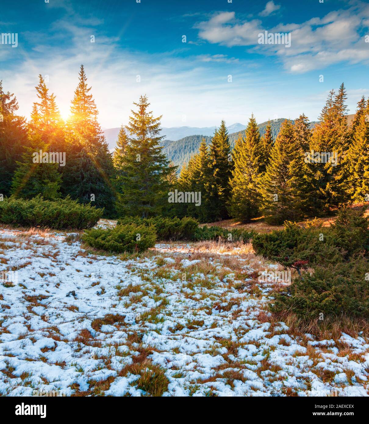 First snow in the Carpathian mountain forest. Gorgany ridge, Ukraine, Europe. Stock Photo