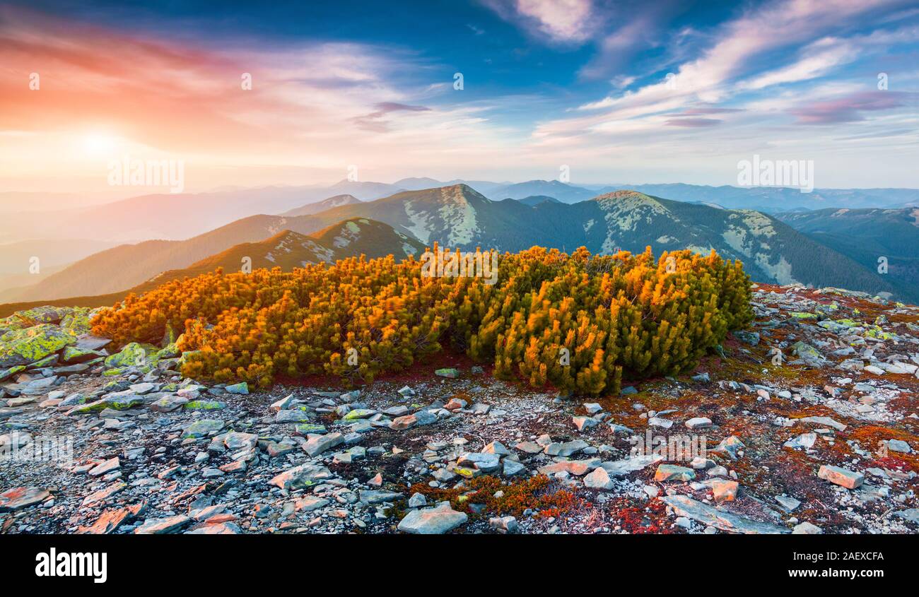 Colorful autumn sunrise in the Carpathian mountains. Gorgan ridge, Ukraine, Europe. Stock Photo