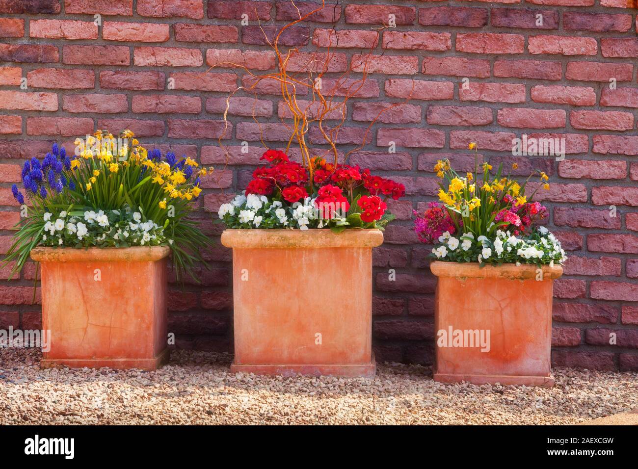 Three vases of blossom flowers in the botanical garden of Essen town used as background. Beautiful outdoor scenery in German, Europe Stock Photo