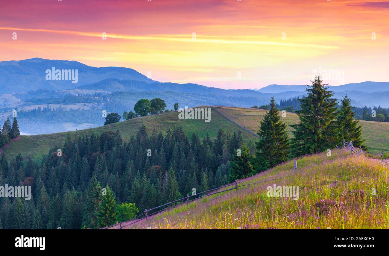 Misty morning in the mountains before sunrise Stock Photo