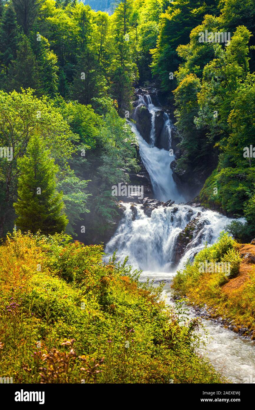 Beautiful waterfall shrouded fresh leaves near the Swiss village of Brunig. Alps, Switzerland, Europe. Stock Photo