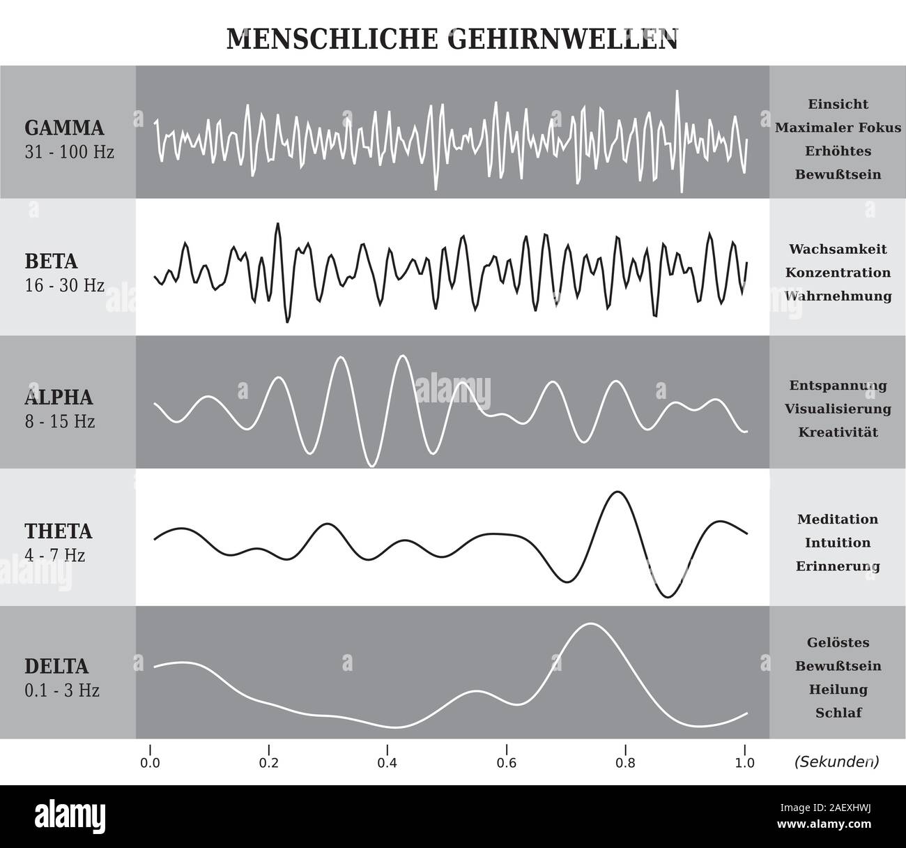 Human Brain Waves Diagram, lllustration in Black and White - German Language Stock Vector