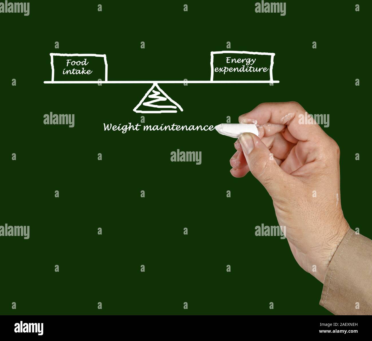 Balance between Energy intake and Energy expenditure Stock Photo - Alamy
