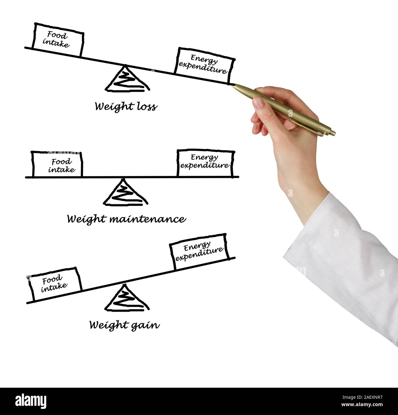 Balance between Energy intake and Energy expenditure Stock Photo Alamy