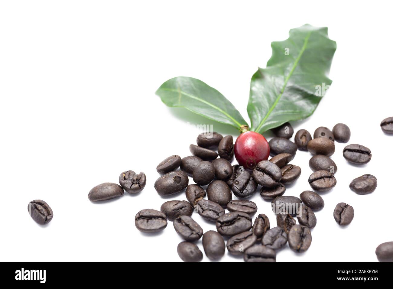 Coffee beans and leaves isolated on white background Stock Photo - Alamy