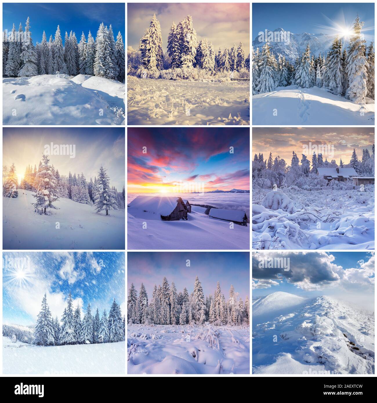 Winter collage with 9 square Christmas landscapes. Carpathian region ...