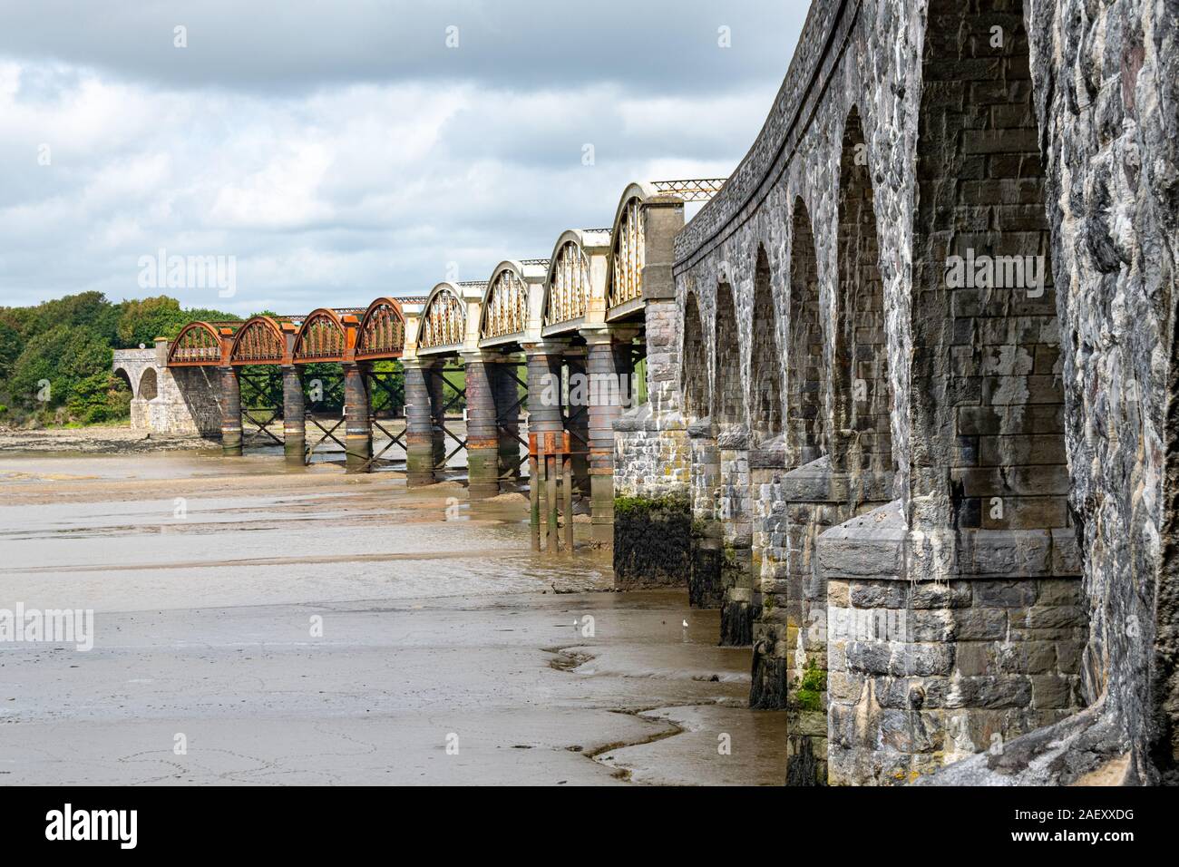Mud flats underneath the railway bridge crossing the River Tavy at low tide, north of Plymouth, Devon, UK Stock Photo