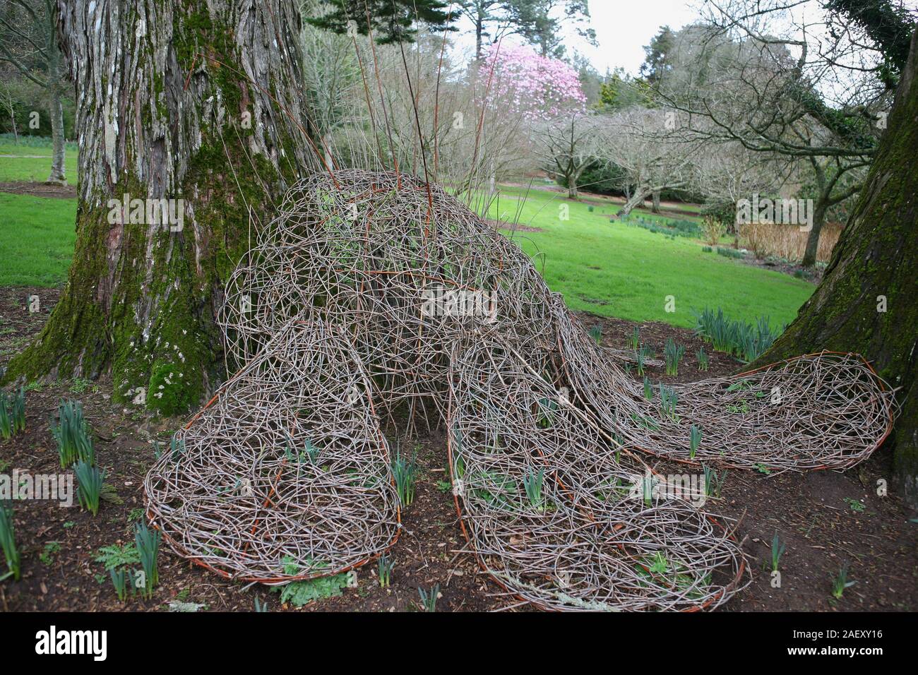 Abstract garden sculpture made of willow under trees in Trelissick Gardens, Feock, Cornwall Stock Photo