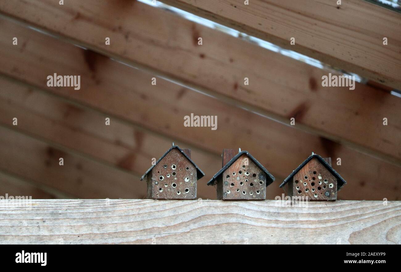 series of insect hotels as a measure for environmental protection and species extinction in nature garden Stock Photo