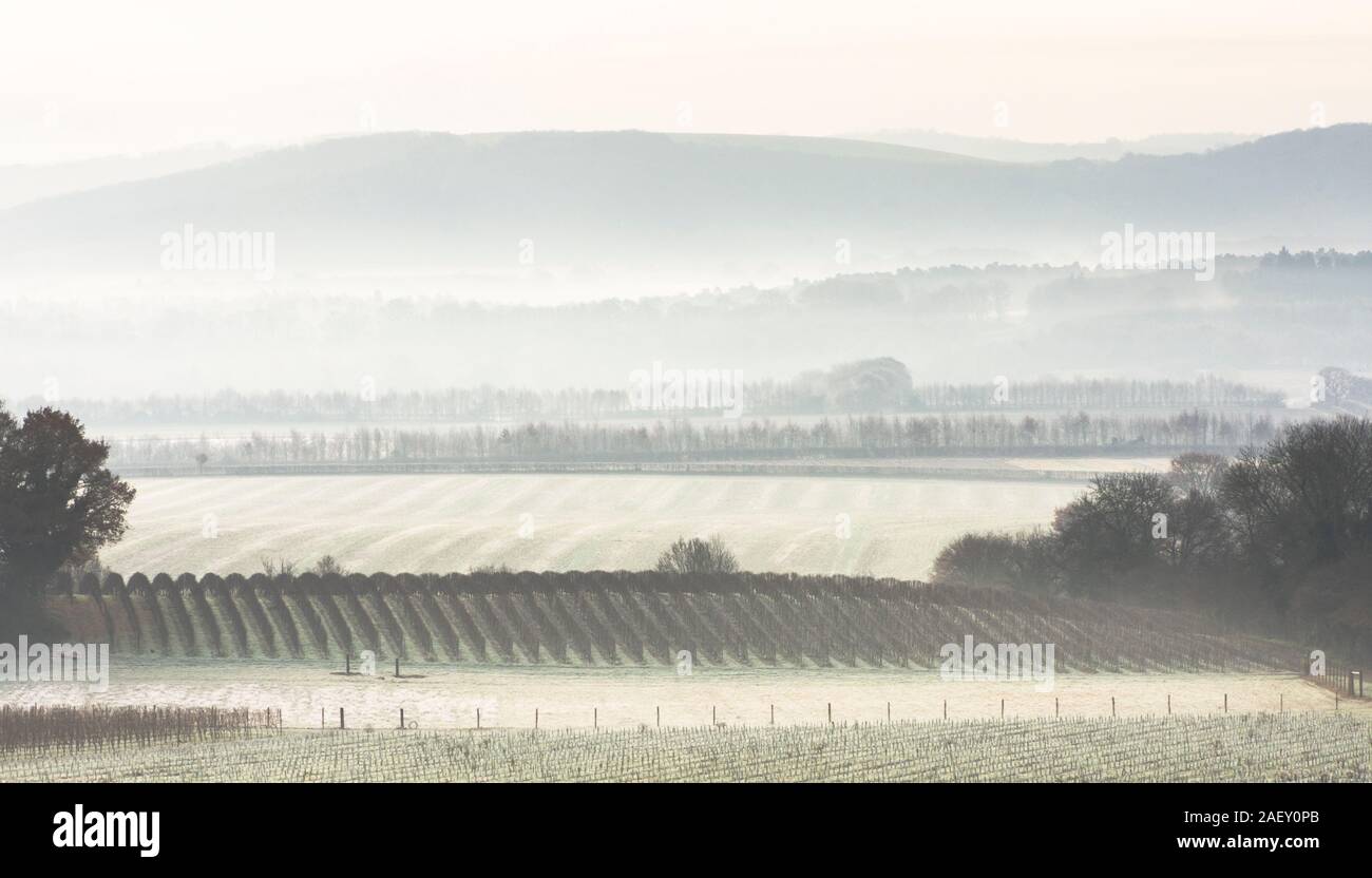 frost and mist over fields and grape vines with a view over the Rother valley to the South Downs, December, Tillington, Petworth, Sussex, UK Stock Photo
