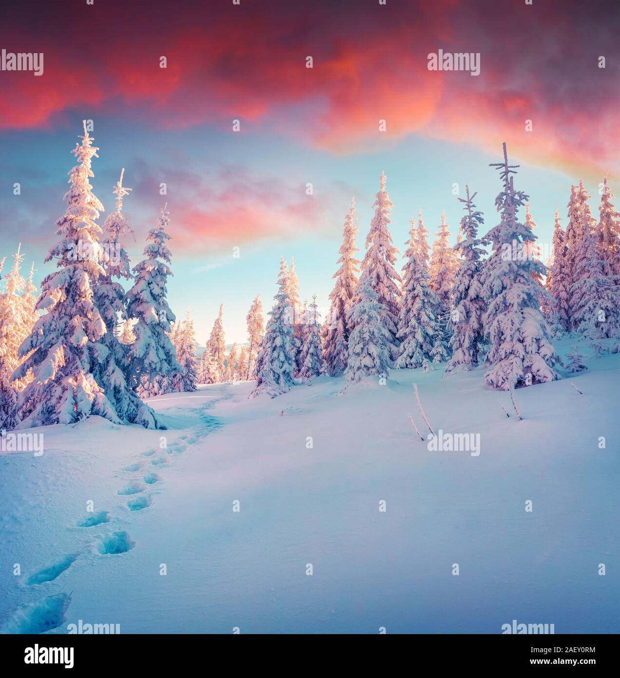 Incredible snowfall hi-res stock photography and images - Alamy