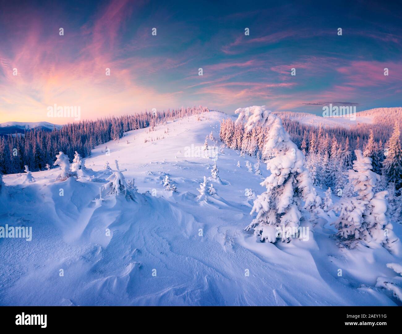 Fantastic winter sunrise in Carpathian mountains with snow cowered trees. Colorful outdoor scene, Happy New Year celebration concept. Stock Photo