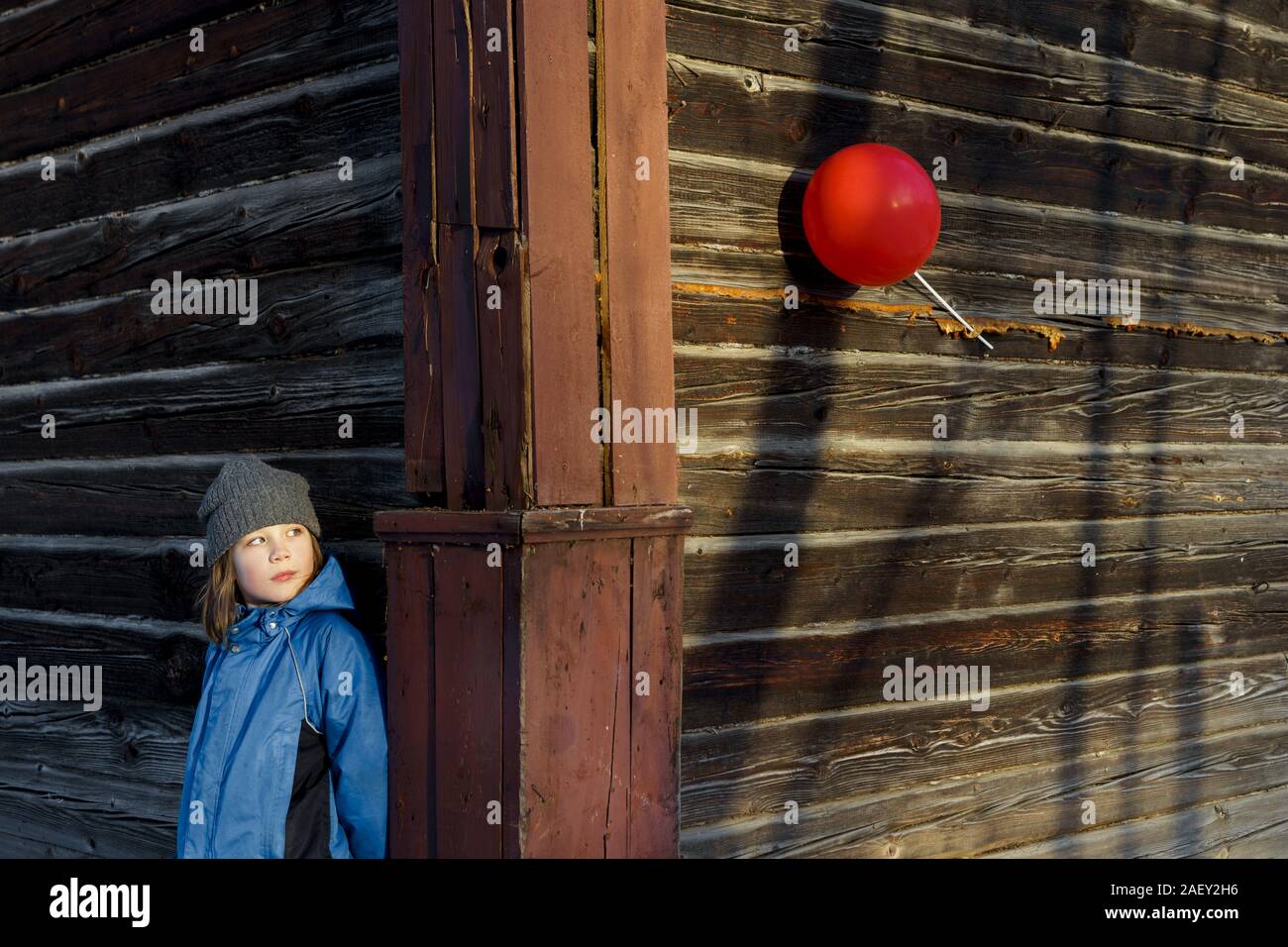 A boy in a blue hat peeking from behind a wooden fence at a red balloon. Stock Photo