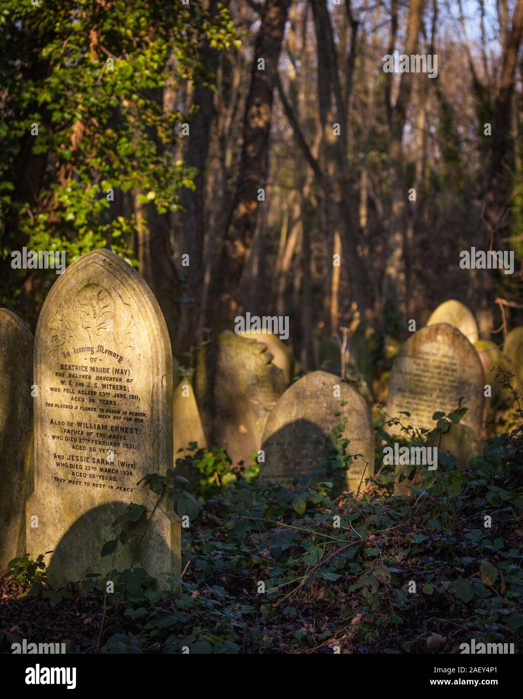In Loving Memory. Long forgotten graves in an English cemetery ...