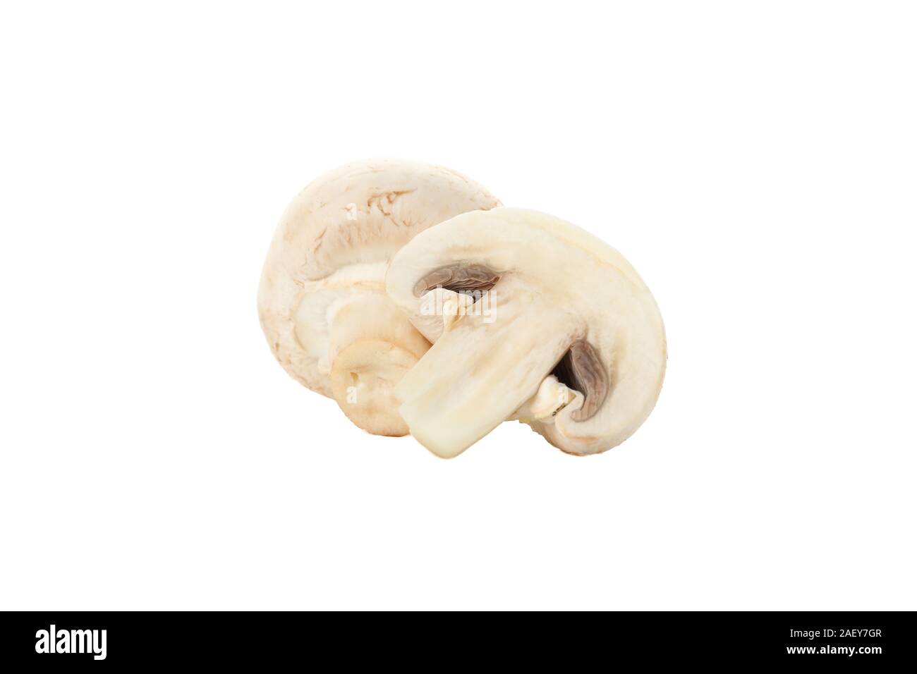 Сhampignon mushrooms isolated on white background, close up Stock Photo