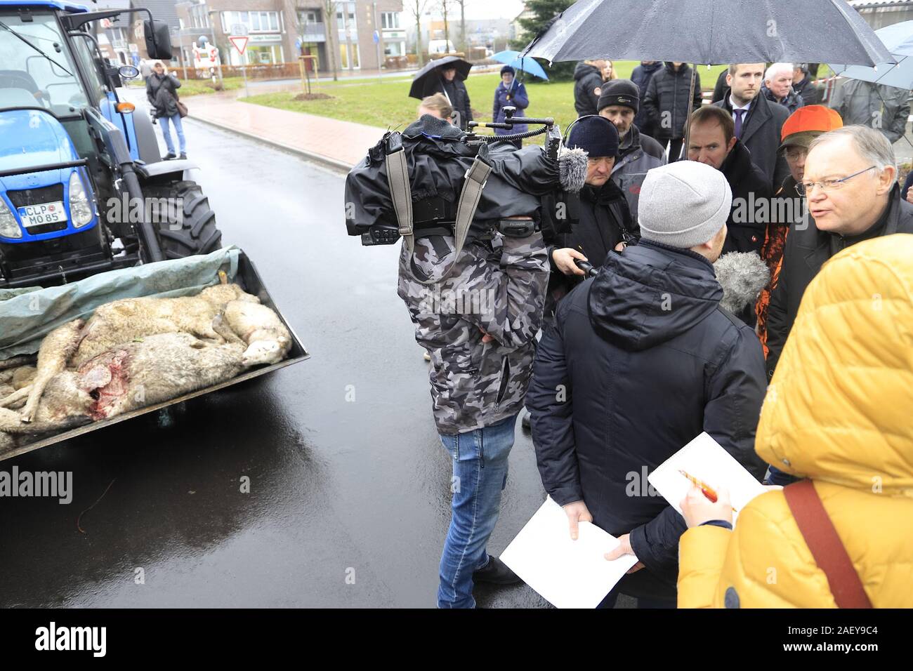 Ministerpräsident Weil zu Besuch in Löningen. Bauern demonstrieren. Grund: Wieder 30 Schafe getötet, Stock Photo