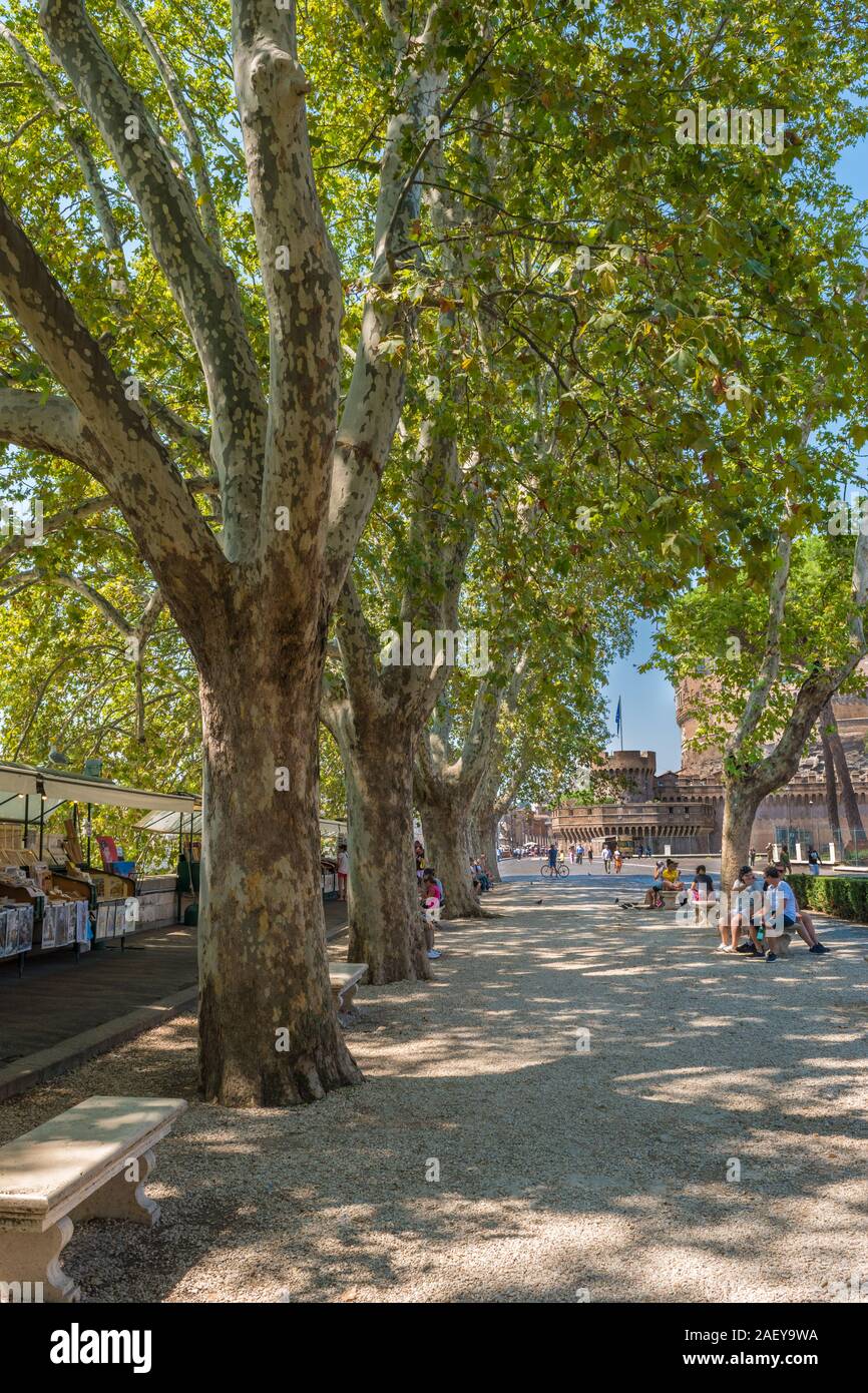 Square with beautiful trees, very quiet and peaceful Stock Photo