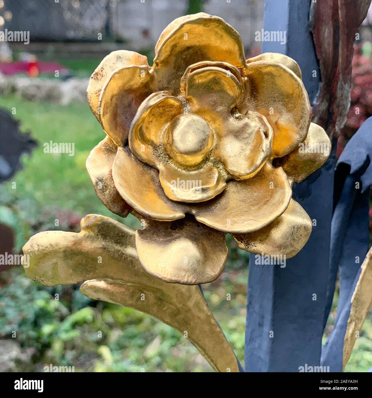 Gilded rose made of metal. Gold plated blossom. Ornament on an iron grate of a grave from the nineteenth century. Handmade floral ornament. Stock Photo