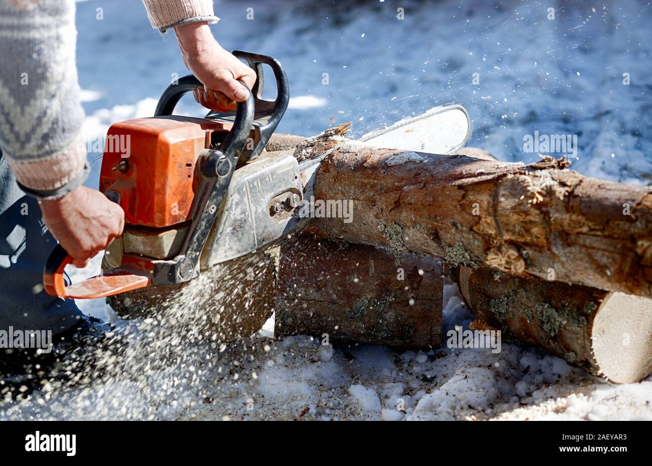 Illegal logging in Romania: Worker trimming wood with chainsaw during winter. Deforestation concept Stock Photo